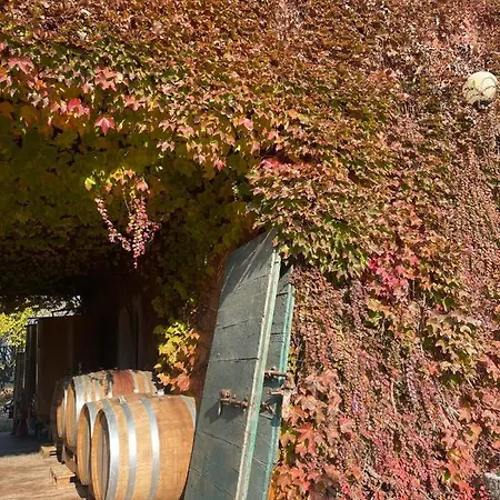 Tenuta Pizzone Wine Alojamento de Turismo Rural *